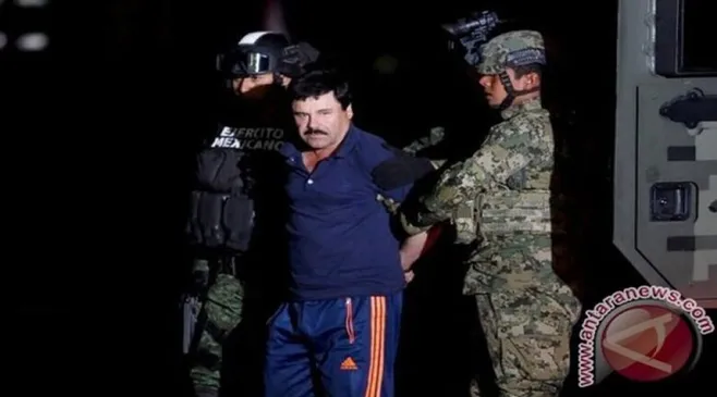 Kartel Adalah Pengertian Fungsi Dampak Ekonomi Indonesia