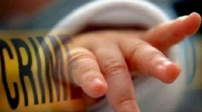 thumbnail-article