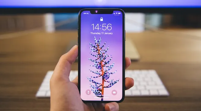thumbnail-article