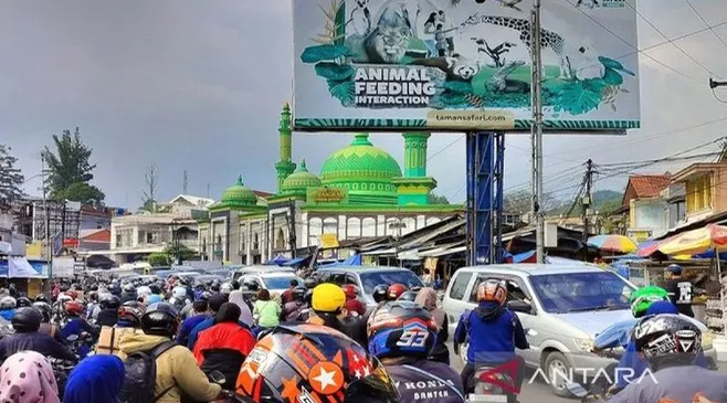 thumbnail-article