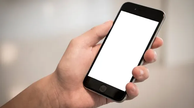 thumbnail-article